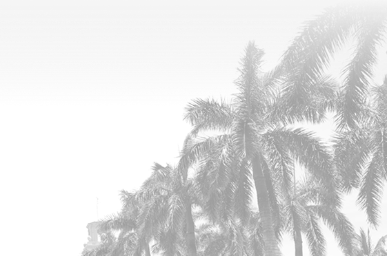 Palms